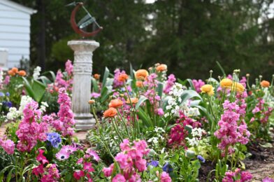 6 gardening trends that will be in full bloom in 2025, say gardeners