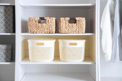 6 Trends in house organization Pro organizers are leaving in 2024