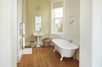 How to get rid of ants in the bathroom