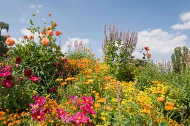 How to Run Shute Floral Garden As Pro