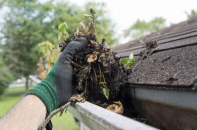 Why should you clean your gutters in the spring, they say domestic experts