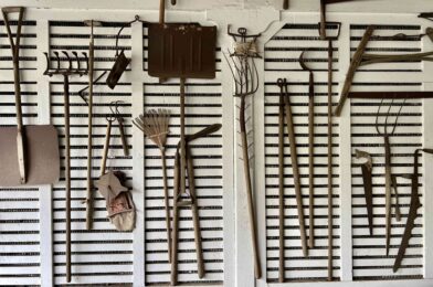 5 Gardening Rejection Tools for Tidier Spring This Spring