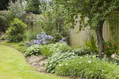 15 A simple idea to arrange a fence that will not break the bank