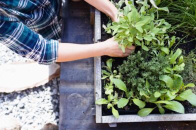How deep does it take an elevated garden bed?