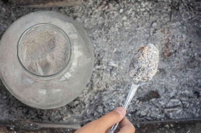Is the charcoal ash good for your garden? We asked a gardener