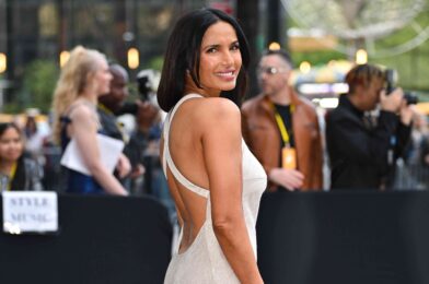 Padma Lakshmi also procratinates on home projects, she says