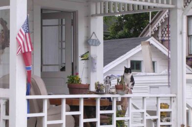5 front functions of the porch that are always eyes, according to designers