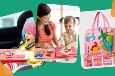 I would pay twice for this house toy for $ 24