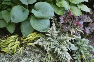 14 outer plants that require zero sunlight to progress