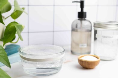 Is vinegar, effective against gnat? Pest Professionals say it works more harm than good