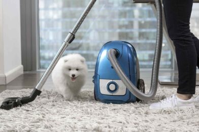 6 tips do not help keep the pet hair out of your home for good, cleaning