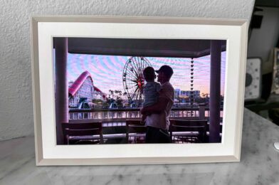 Overview of the digital box of photo frames Aura Carver: 2025
