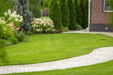 Do you want a thicker turf of this fall? Start exceeding the end of summer