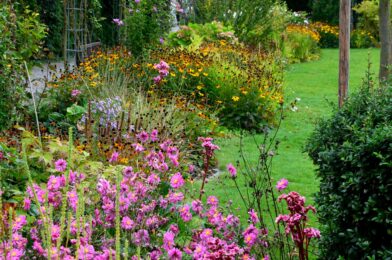 7 plants gardeners always sludge in the fall (and you should too)